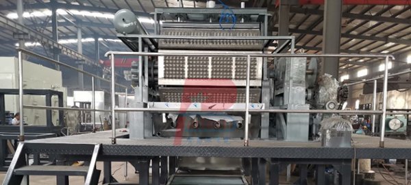 South America customer automatic egg tray production line finished shipment