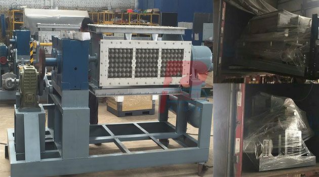 paper pulp molding machine