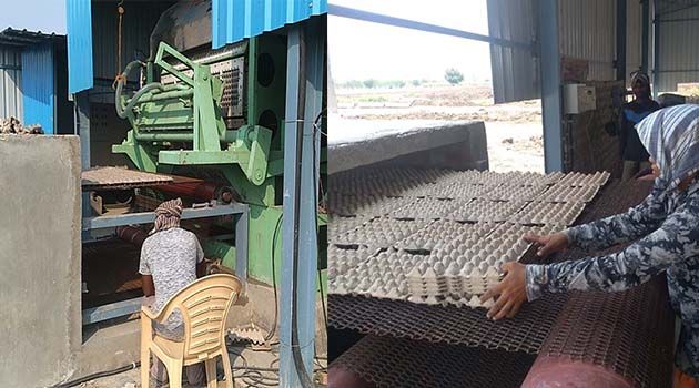 brick drying oven egg tray machine