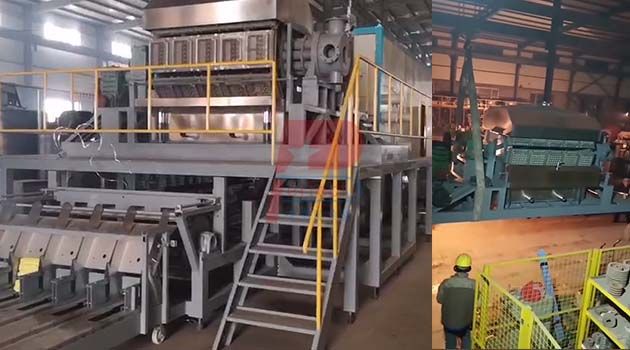 egg box tray machine