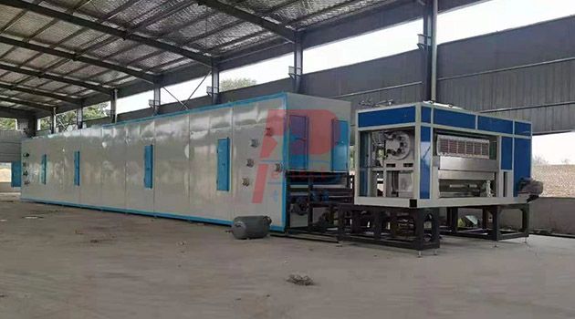 egg box tray molding machine