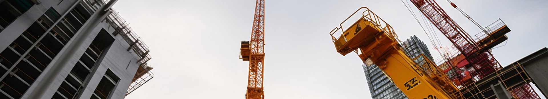 brandBanner