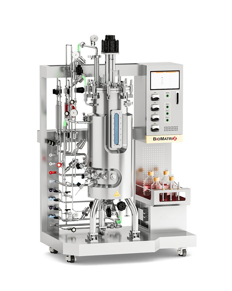 Biorreactores y Fermentadores