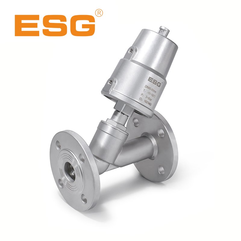 ESG Angle Seat Valve 100 series