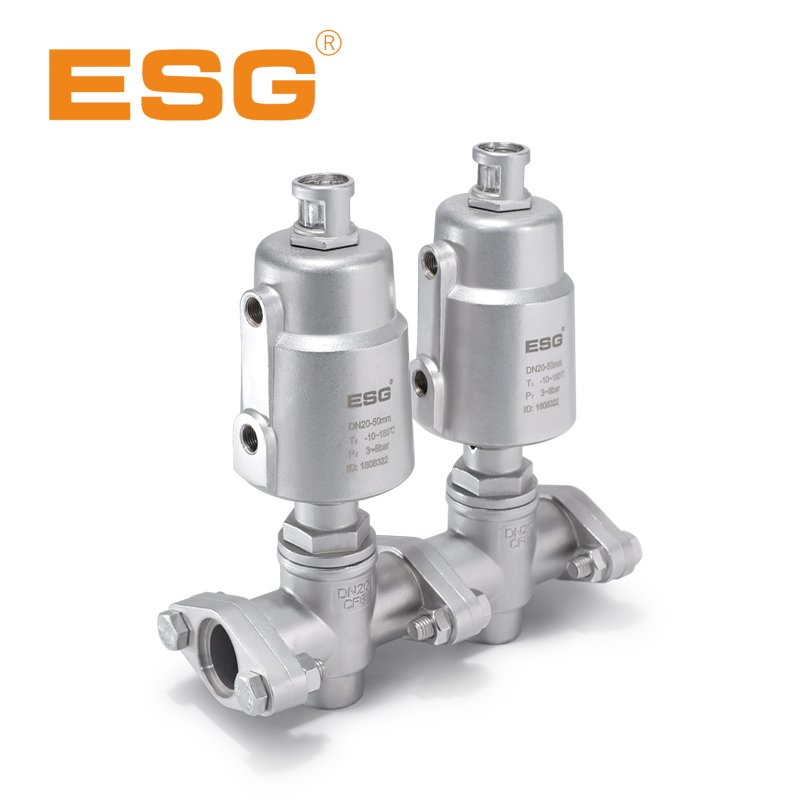 110 Series Pneumatic Manifold Valve -895