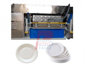 Degradable Disposable Pulp Fiber Tableware Plate Making Machine producer