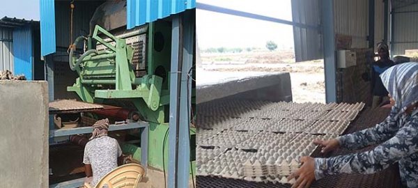 Brick drying oven automatic egg tray production line in India finished installation