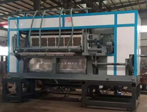 China Best Manufacturer 6-8 Automatic Paper Pulp Egg Tray Making Machine