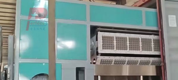7000 pieces per hour automatic paper egg tray making machine popular in Europe