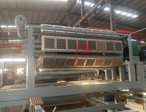 9000-10000 pieces per hour automatic egg tray making machine