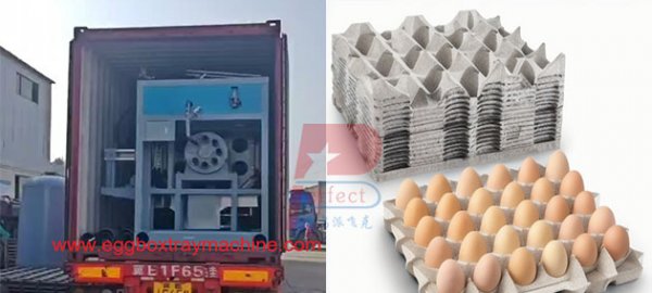 6000 pieces per hour automatic egg hold tray making machine finished shipment to UAE