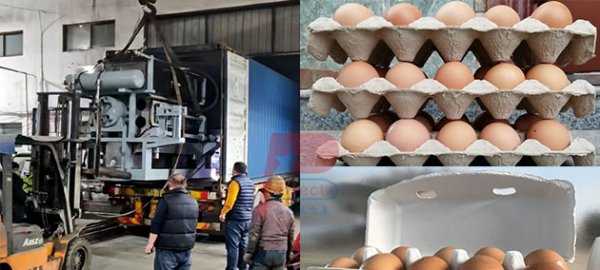 4-8 automatic egg crate tray making machine shipped to Yemen