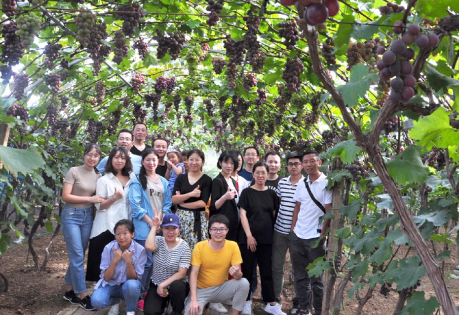 2019 Tennry Autumn Activity