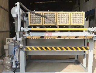 Máquina para fabricar bandejas de huevos pequeñas - 8