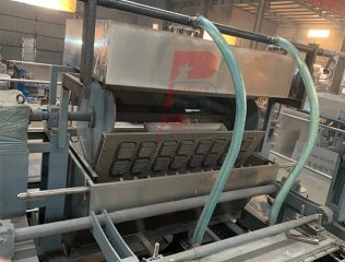 Máquina automática para fabricar bandejas planas con soporte para manzanas y pulpa de papel - 8