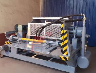 Máquina automática para fabricar bandejas planas con soporte para manzanas y pulpa de papel - 8
