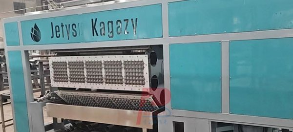 Línea de producción automática de bandejas de huevos de papel de 6000 piezas por hora enviada a Kazajstán