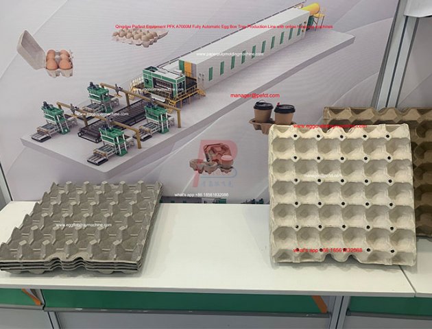 Máquina automática para fabricar cajas de huevos - 8