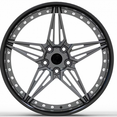 BMW 2 piece car forged wheels (1)