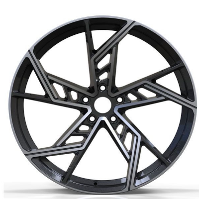 China Audi 18 20 21 22 inch cast alloy wheels (1)