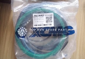 XCMG25K5 luffing  cylinder repair kit