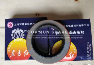 Oil seal LR080150