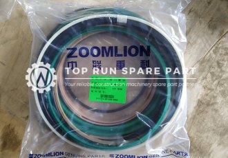 Zoomlion Repair kit Derricking cylinder