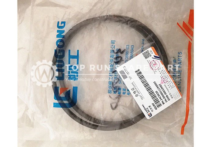 CLG856 seal ring 34C0020