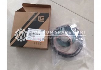 Liugong Boom Cylinder Repair kit SP127219 