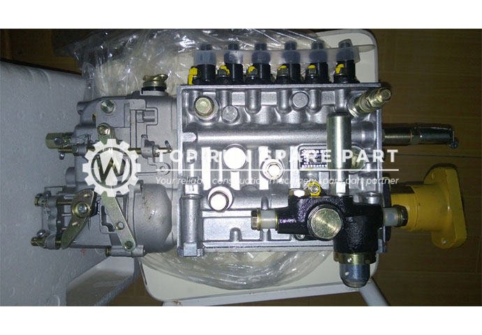 Injection pump 612600081053-001