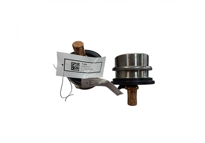 thermostat 1002519776 