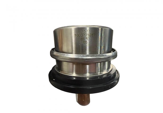 thermostat 1002519776 