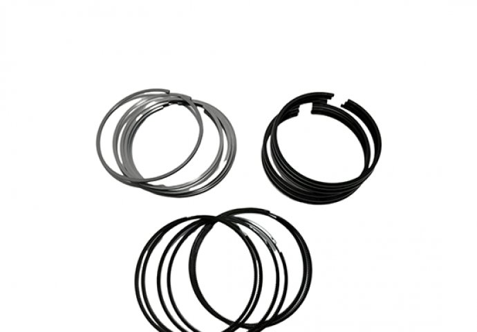ring piston 1001384847/1007202011