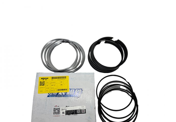 ring piston 1001384847/1007202011