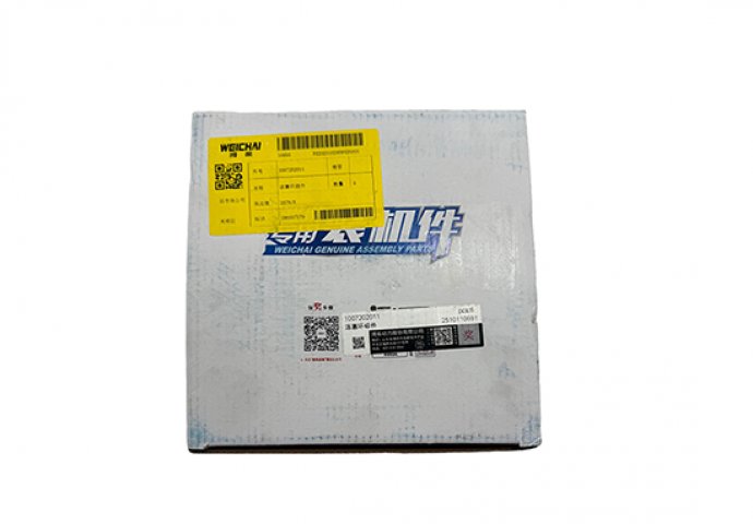 ring piston 1001384847/1007202011