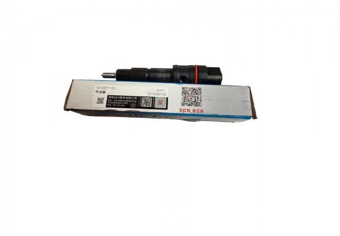 Fuel injector 1015571153/2504010252