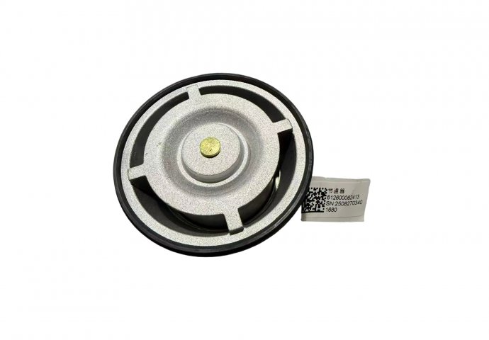 thermostat 612600062413 