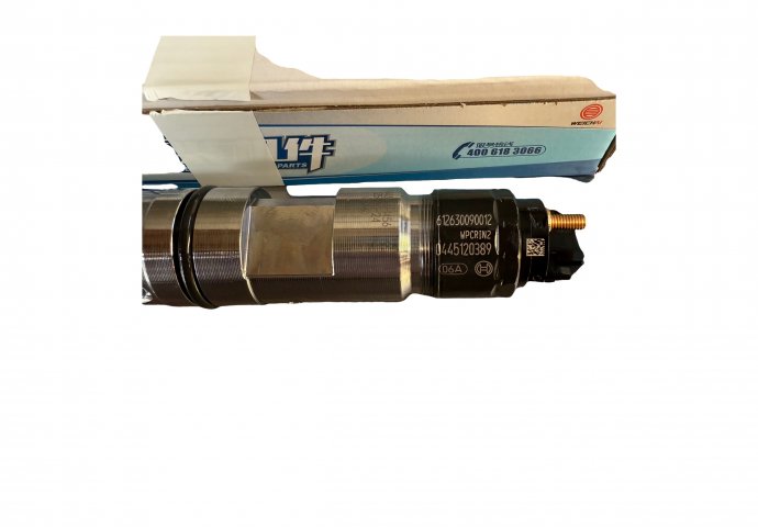 injector 0445120389/612630090012