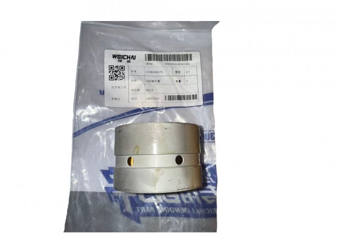 camshaft bush 331001000170 