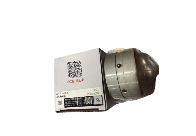 camshaft bush 331001000169 