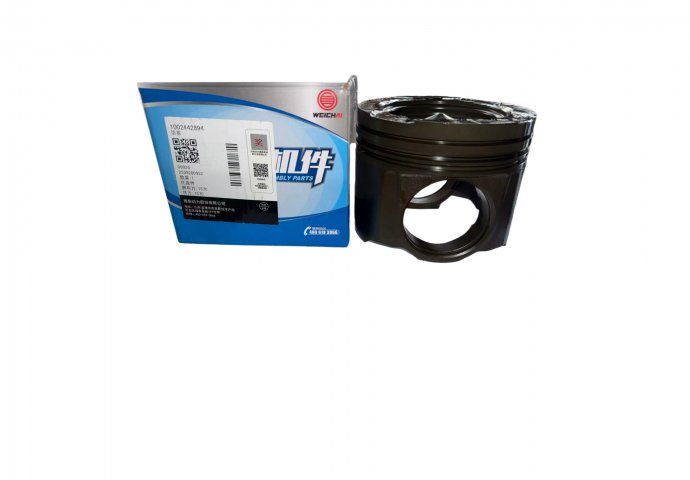 piston 1002442894 