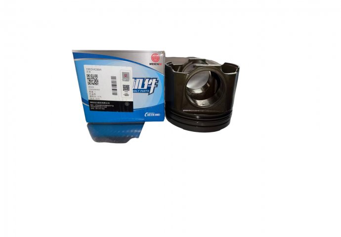 piston 1002442894 