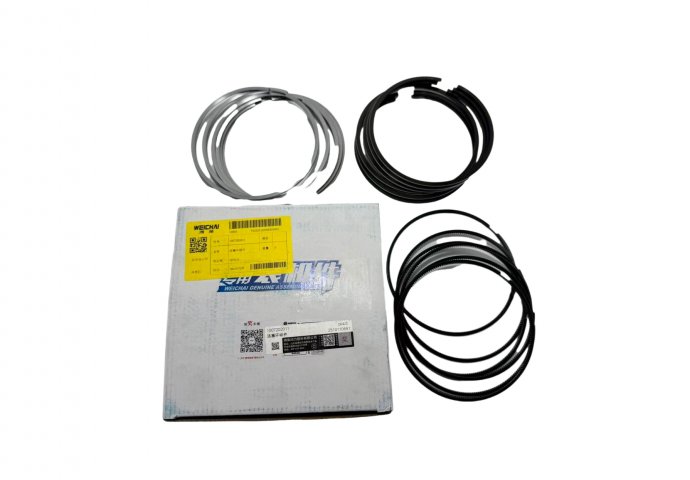 ring piston 1001384847/1007202011