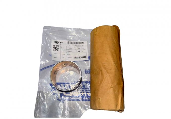 camshaft bush 331001000170 