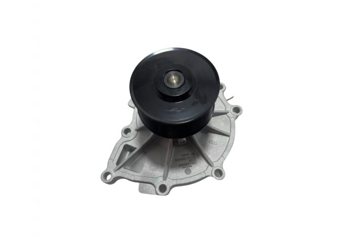 waterpump 1001996662