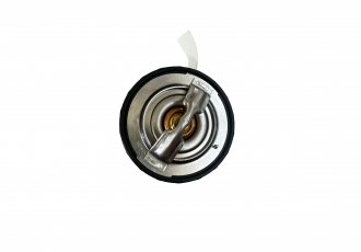 thermostat 1009981217