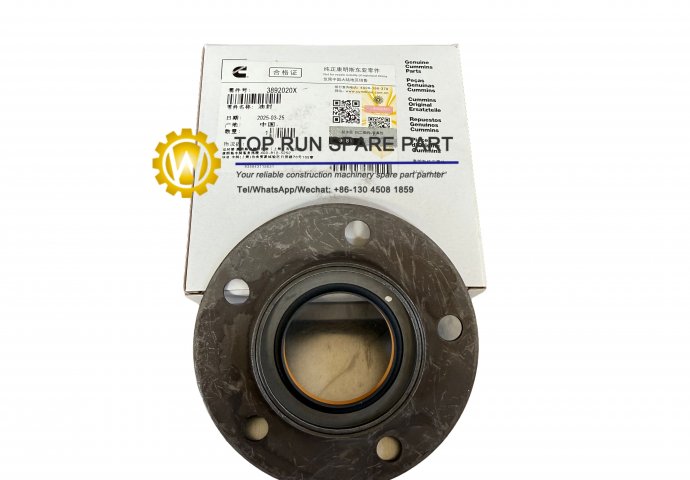 seal  3892020 Cummins