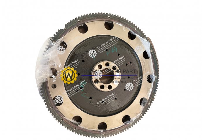 flywheel assy 1007388914