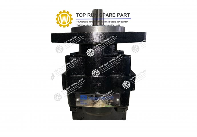 brake pump 2250-77-01000/HP31A597VTAB05-25