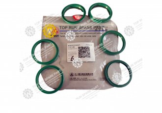 Dust ring AY5050P5008 B230101000067 SANY